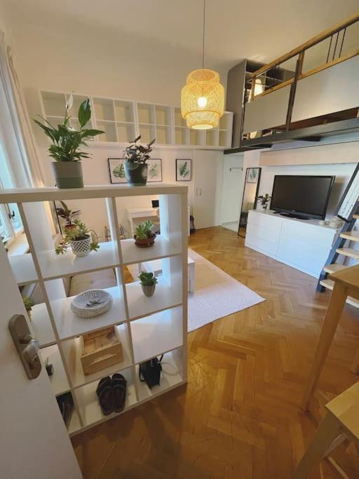 Stefanka Apartment Old Town Bratislava Exteriér fotografie